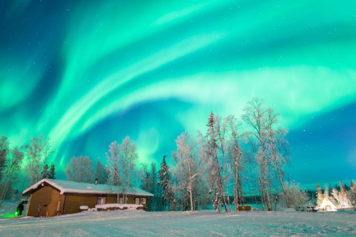 邮报,曼城积极寻,找罗德里替,V体育官网,V体育APP,VSports,V体育平台