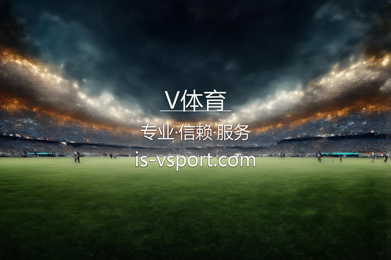 V体育官方赛事现场